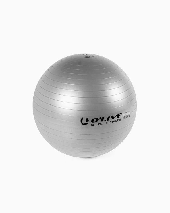 Fitness Ball Ø 75cm Gray -...
