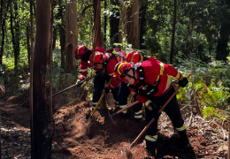 Treino Físico: A exigente preparação para o combate aos incêndios