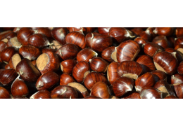 Castanhas : o que esconde o alimento mais nutritivo do Outono?